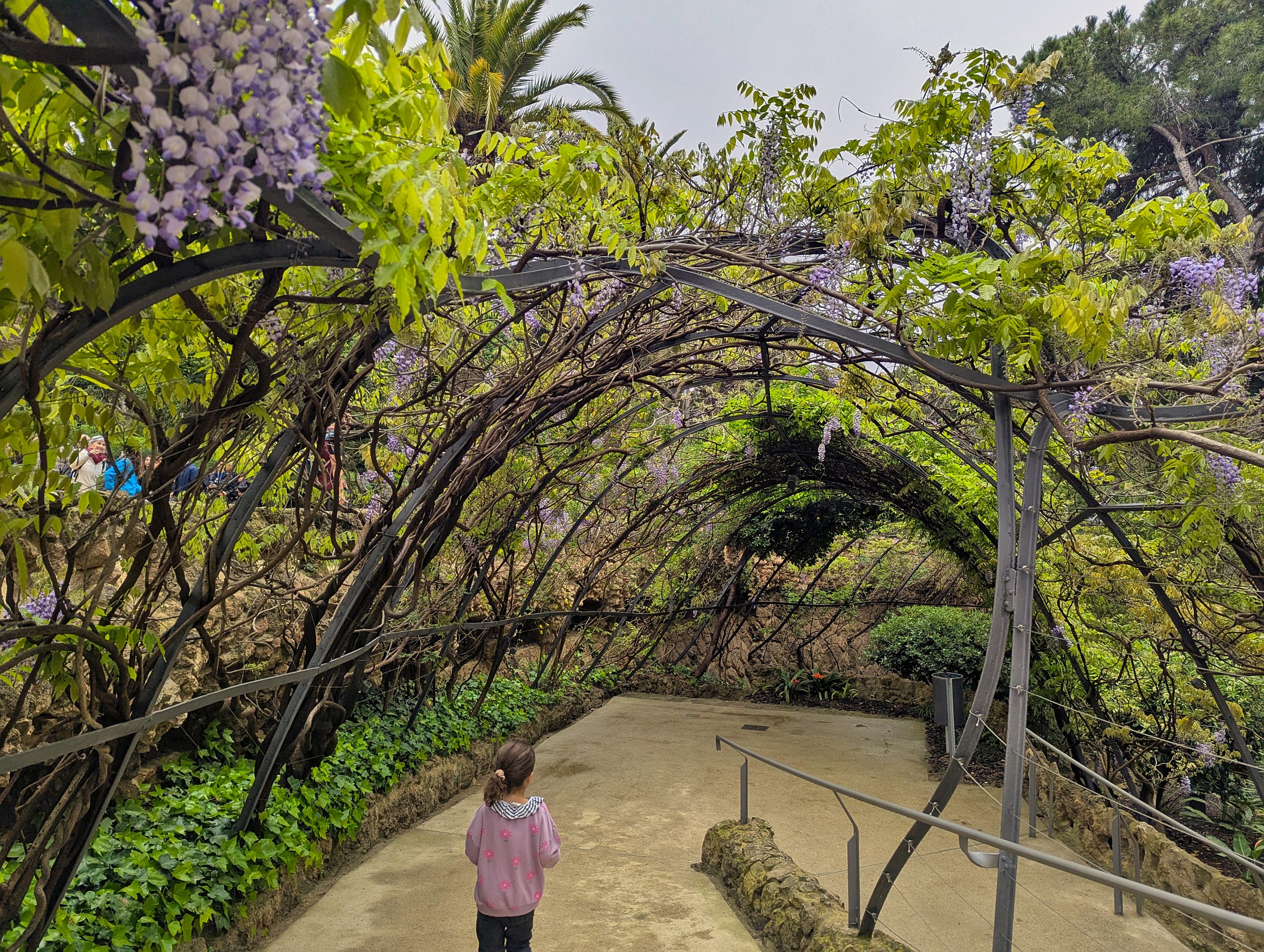 Protected: Casey Weekend Update