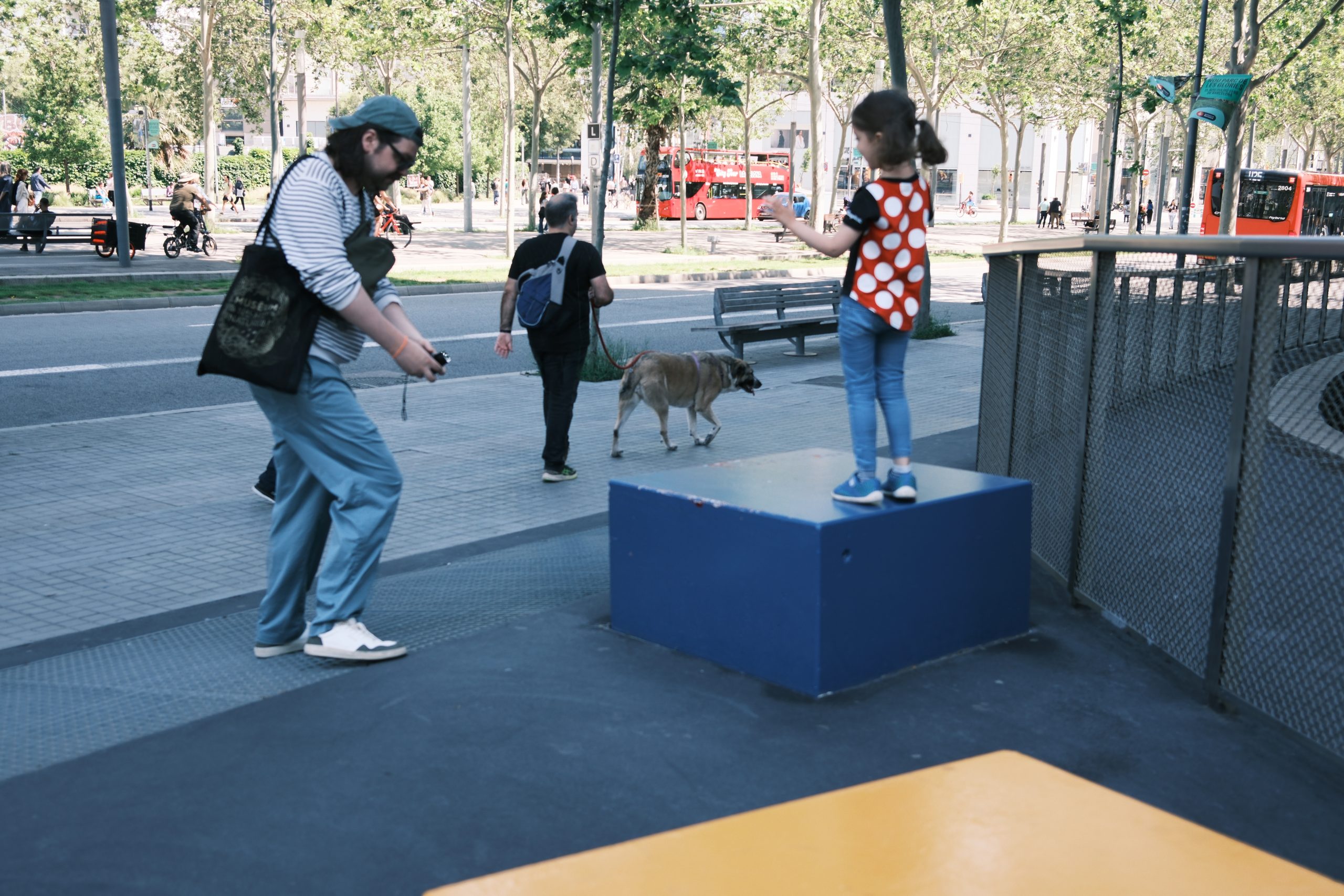 New Camera! Photo Dump